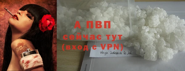 ешки Верея
