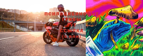 СК Верхний Тагил