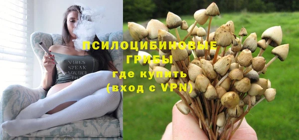 СК Верхний Тагил